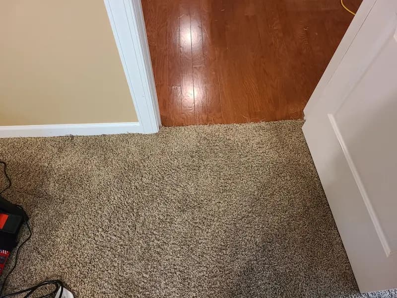 After: Carpet at a doorway beside a hardwood floor after cleaning