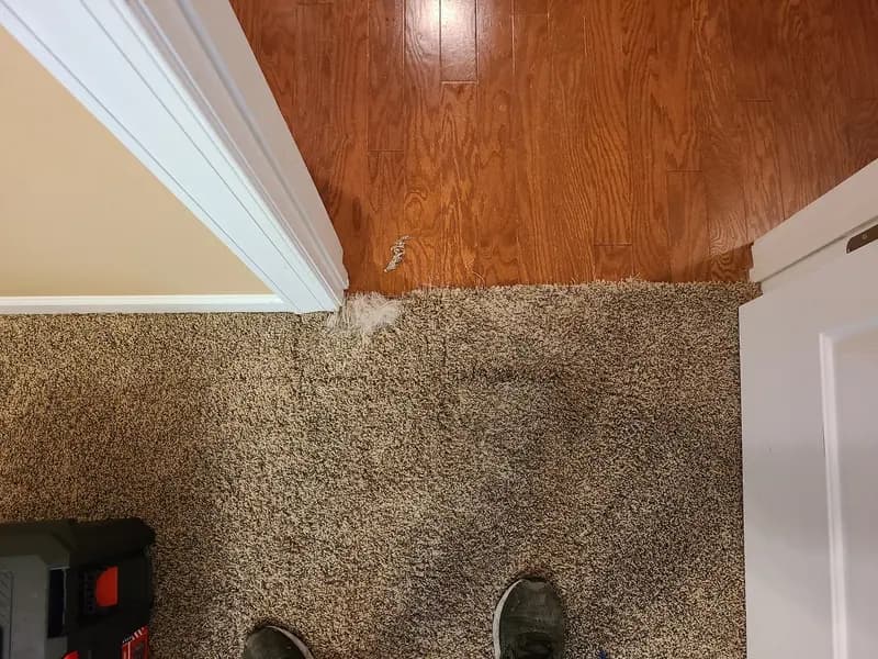 Before: Carpet at a doorway beside a hardwood floor before cleaning, with a dark traffic area