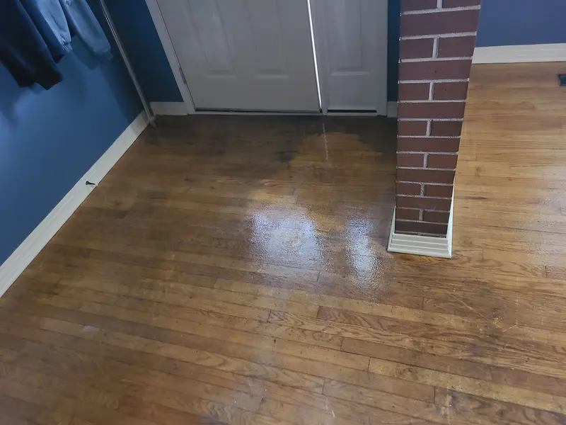 Oak hardwood floor at a back door, part of it wet during cleaning