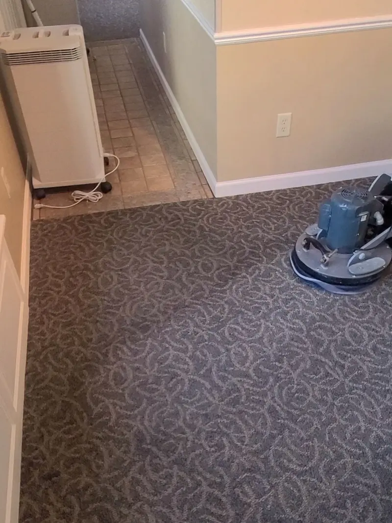 Patterned commercial carpet being cleaned with a rotary machine