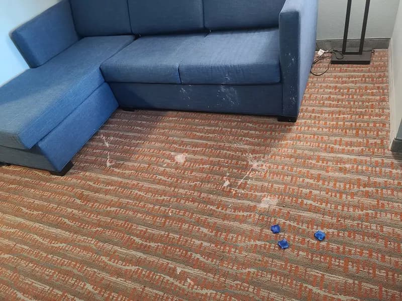 Before: Blue sectional sofa and patterned carpet with white debris before cleaning