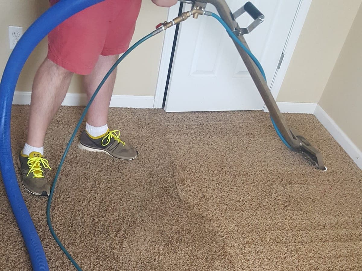 Carpet being cleaned with a wand, showing a clear line between the cleaned and uncleaned areas