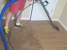 Carpet being cleaned with a wand, showing a clear line between the cleaned and uncleaned areas