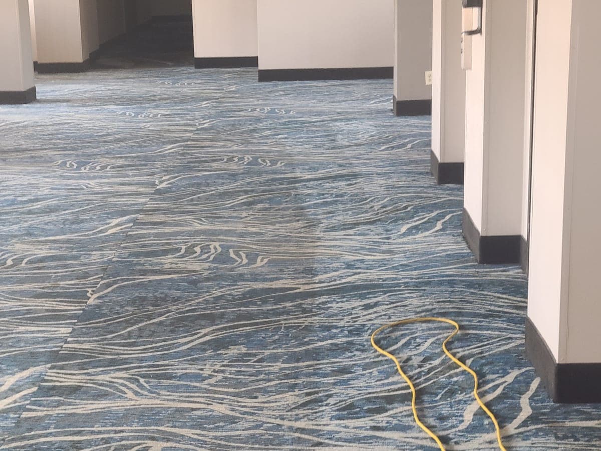 Patterned commercial hallway carpet with a cleaned lane visible during low-moisture cleaning