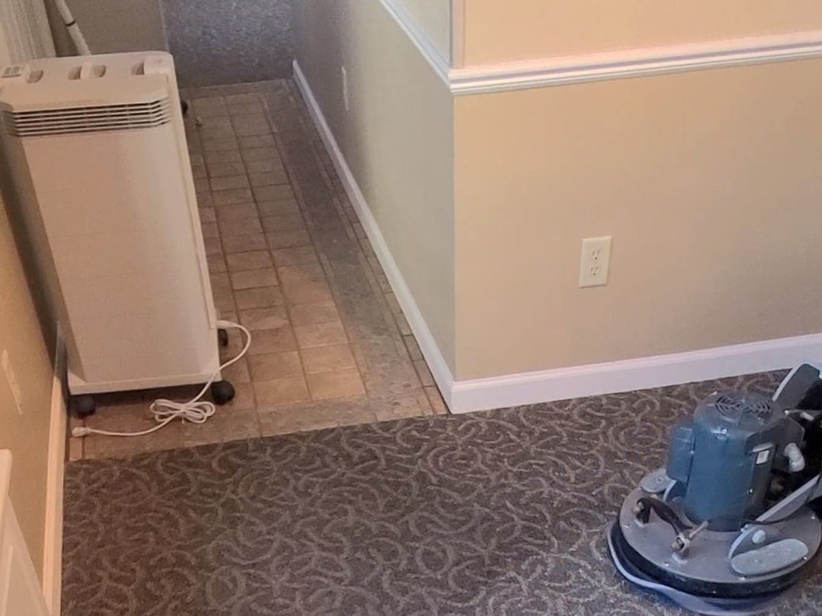 Patterned commercial carpet being cleaned with a rotary machine