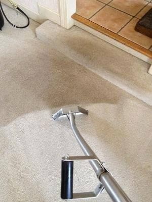 Carpet wand on light carpet beside a tile hearth, with a darker uncleaned strip along the edge