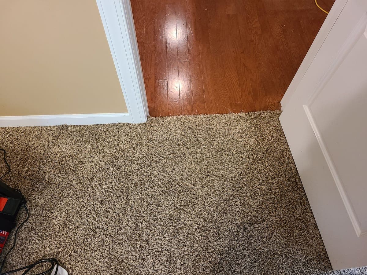 Carpet at a doorway beside a hardwood floor after cleaning
