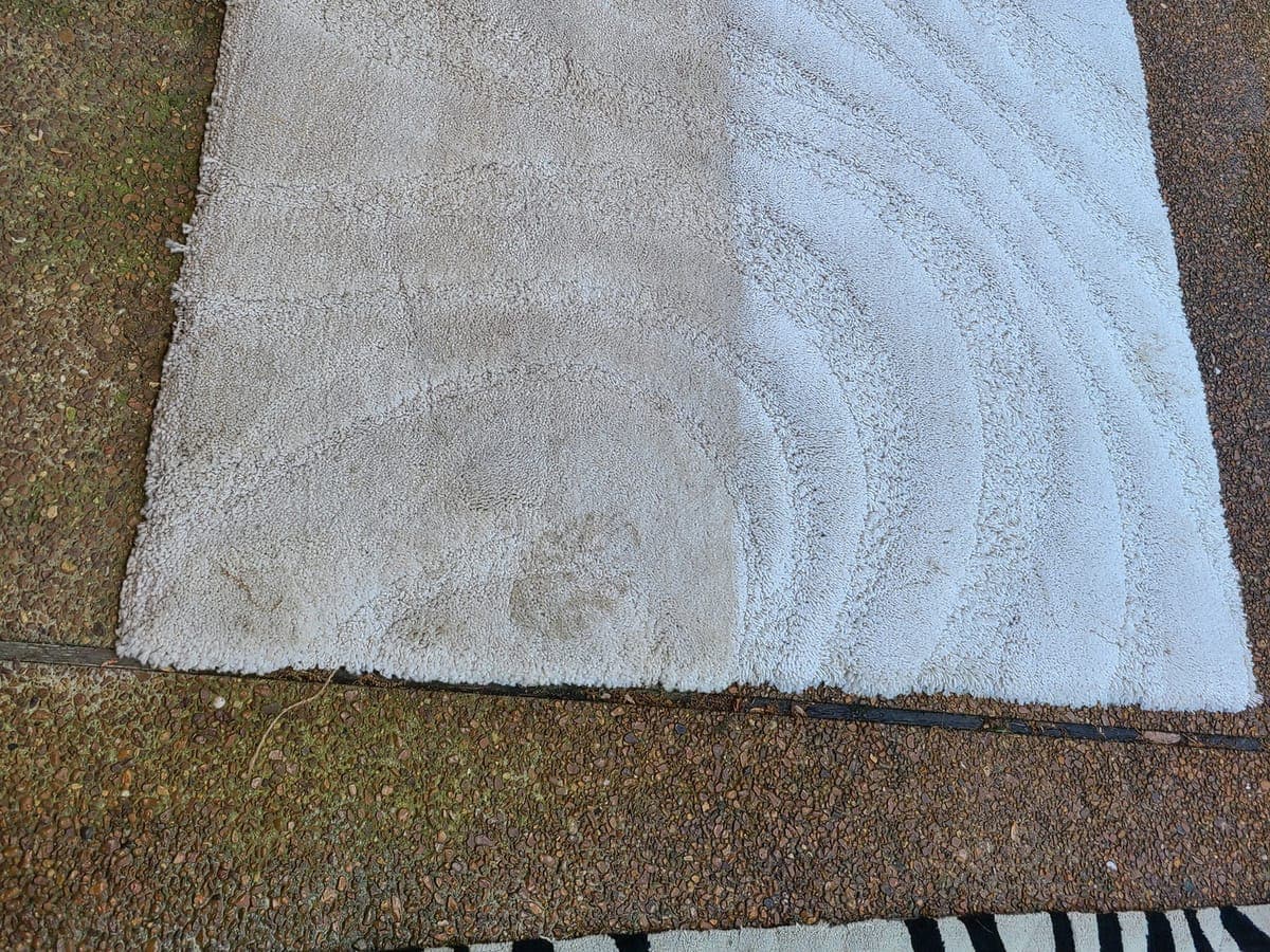 White shag area rug half cleaned, with the cleaned side visibly brighter