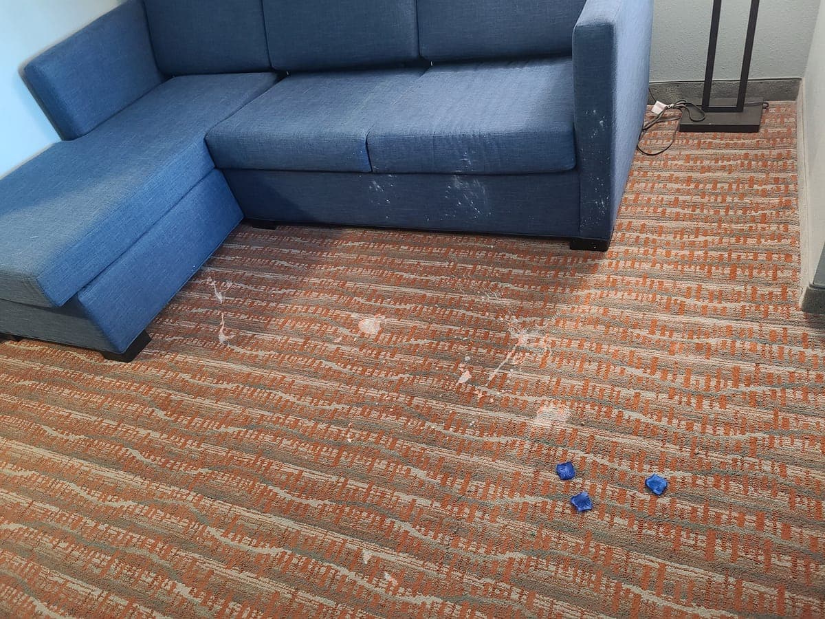 Blue sectional sofa and patterned carpet with white debris before cleaning